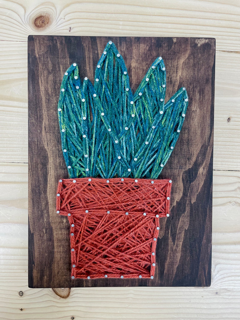 String Wall Art - Aloe Plant