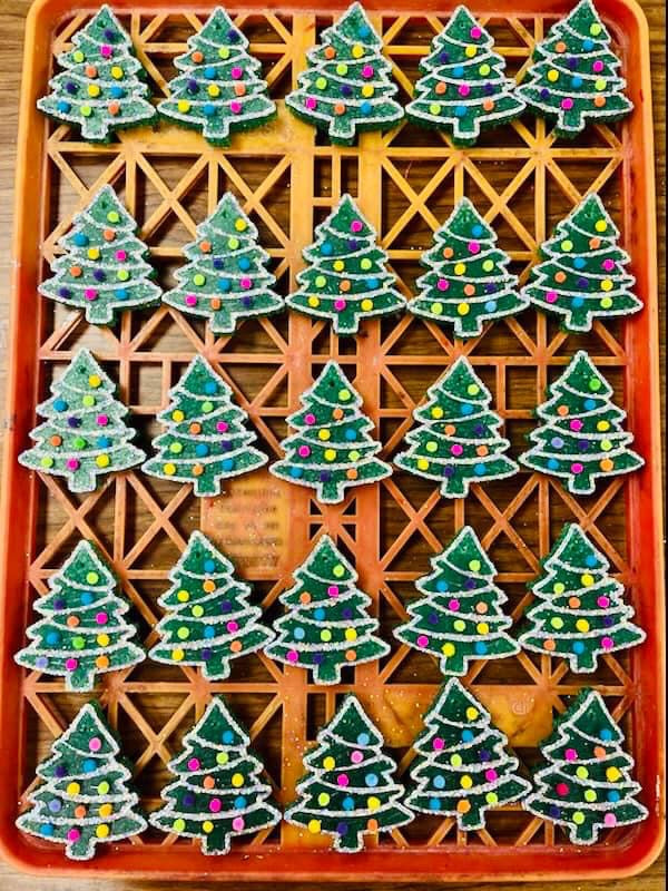 Christmas Tree Freshie